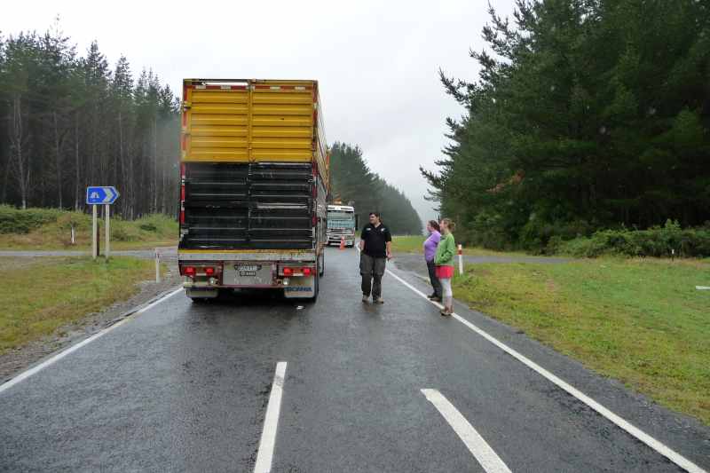 Nieuw-Zeeland 2011 - 0565